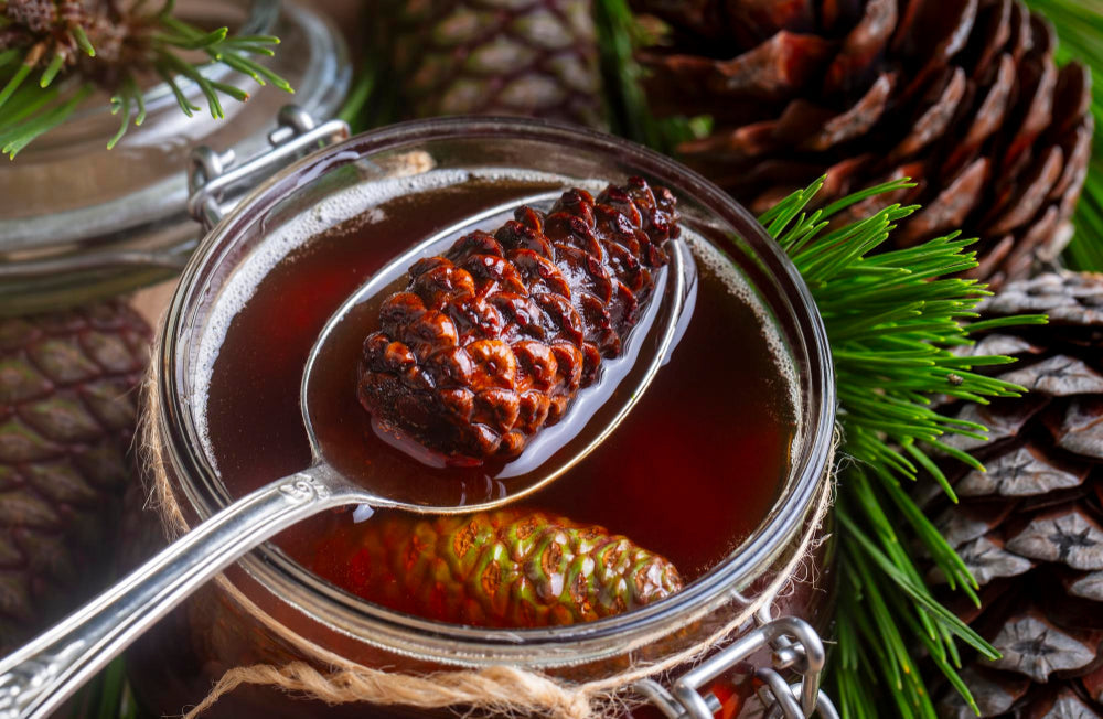 Doğanın Şifasıyla Bağışıklığınızı Güçlendirin: Ballı Kozalak Macunu