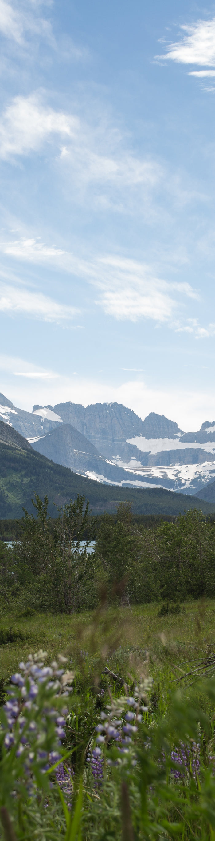 <h1>Bize Ulaşın</h1>